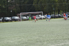 ILN_0266