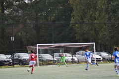ILN_0286