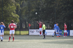ILN_0294