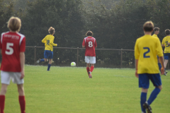 ILN_0229