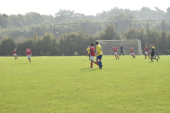 ILN_0239