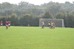 ILN_0251