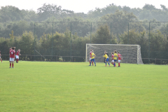ILN_0252