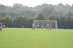 ILN_0253