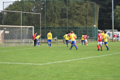 ILN_0264