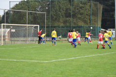 ILN_0265