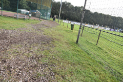 ILN_0269