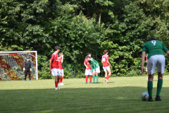 ILN_0004