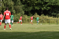 ILN_0005