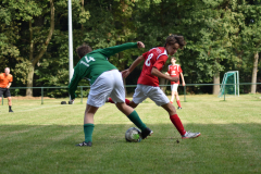 ILN_0020