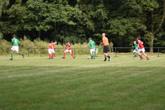 ILN_0031