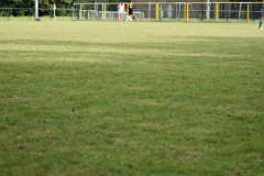 ILN_0062