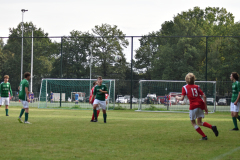 ILN_0117