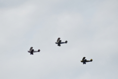 ILN_0118