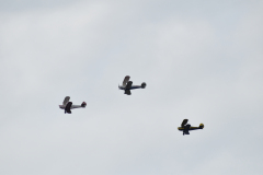 ILN_0119