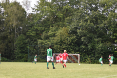 ILN_0130