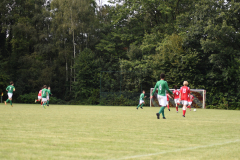 ILN_0131