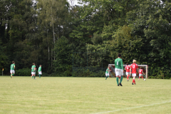 ILN_0132