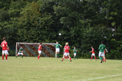 ILN_0136