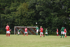 ILN_0137