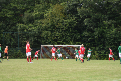 ILN_0138
