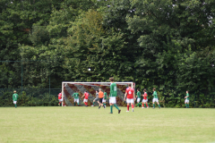 ILN_0140