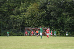 ILN_0141
