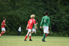 ILN_0147