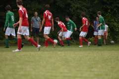 ILN_0154