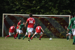 ILN_0187