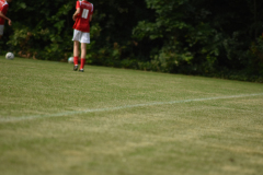 ILN_0198