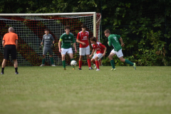 ILN_0220
