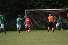 ILN_0223