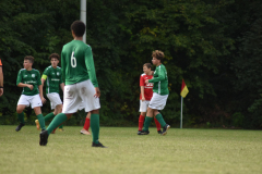 ILN_0244