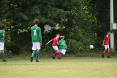 ILN_0247