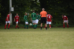 ILN_0248