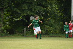 ILN_0250