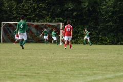 ILN_0263